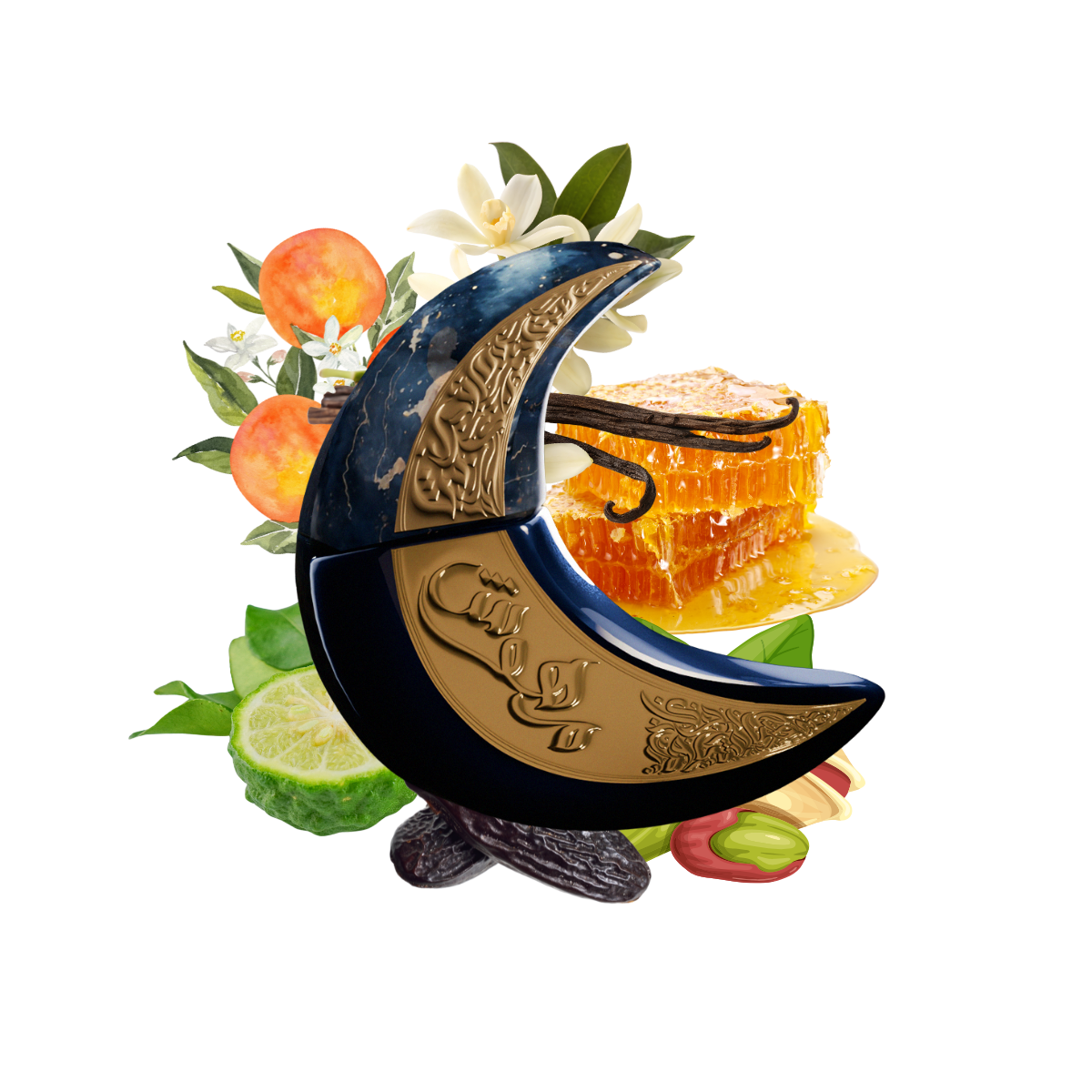 Mehwish | Paris Corner